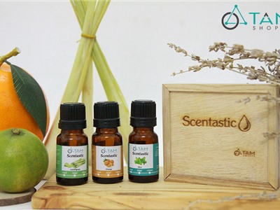 Combo TD01: Bộ 3 chai tinh dầu thiên nhiên 10ml ‪SCENTASTIC (tặng hộp hoặc quà tùy đợt)